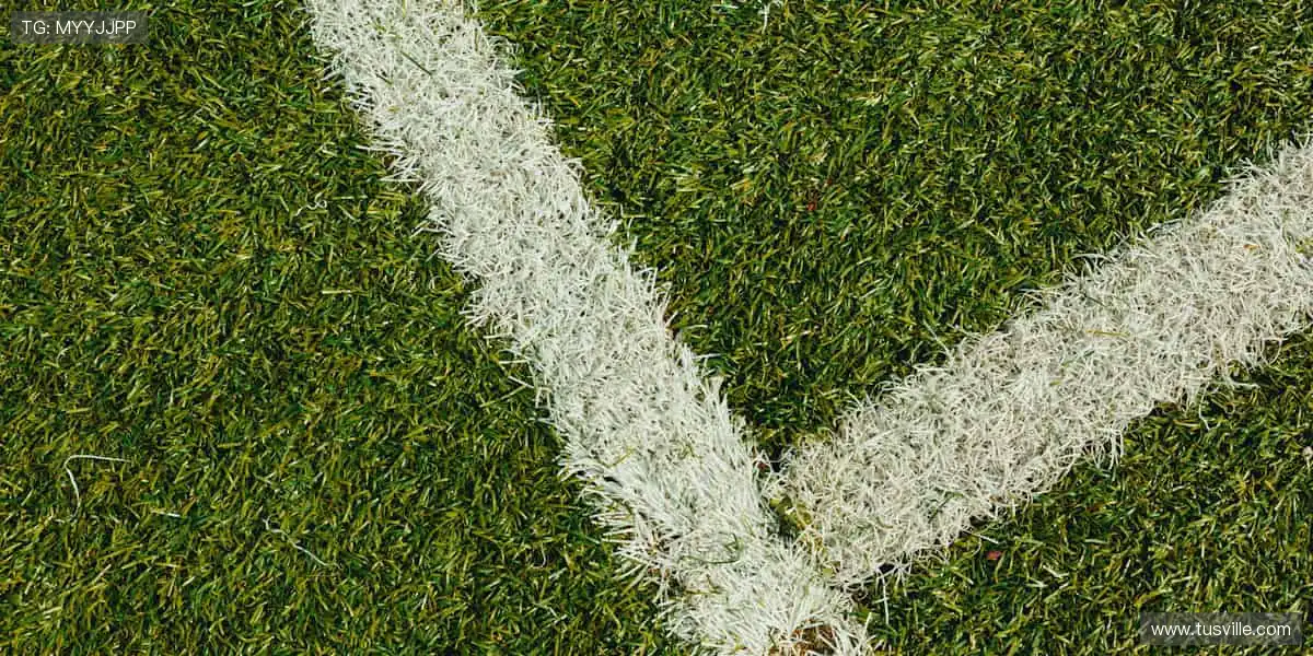 🎯冠军同款，即刻拥有！✨ 体育周边，点燃你的热爱！